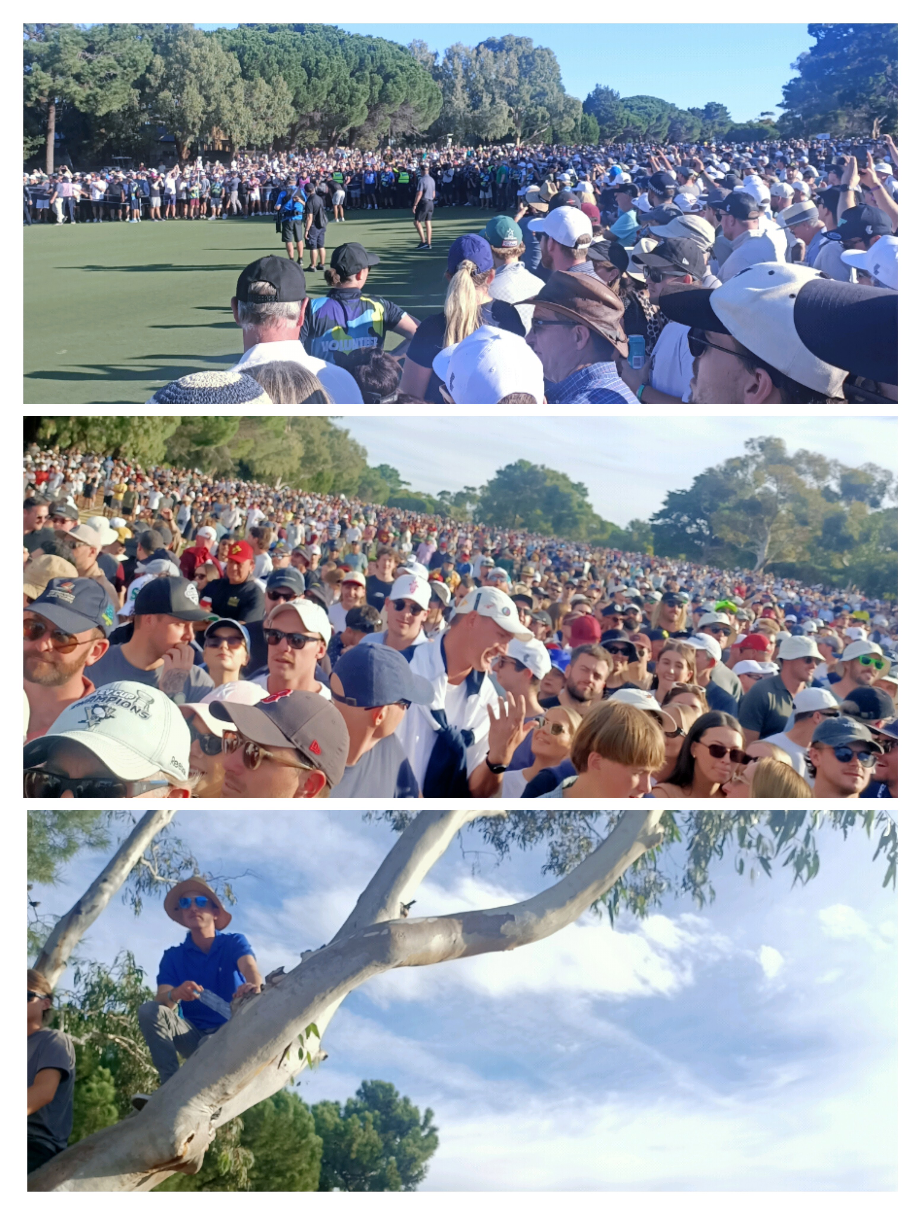 LIV Golf tournament gallery